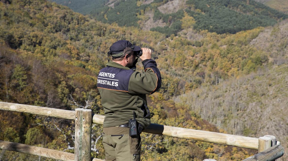 Un agente forestal de la Comunidad de Madrid de espaldas en una torre de vigilancia