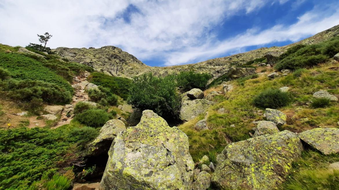 paisaje Parque Nacional Sierra Guadarrama